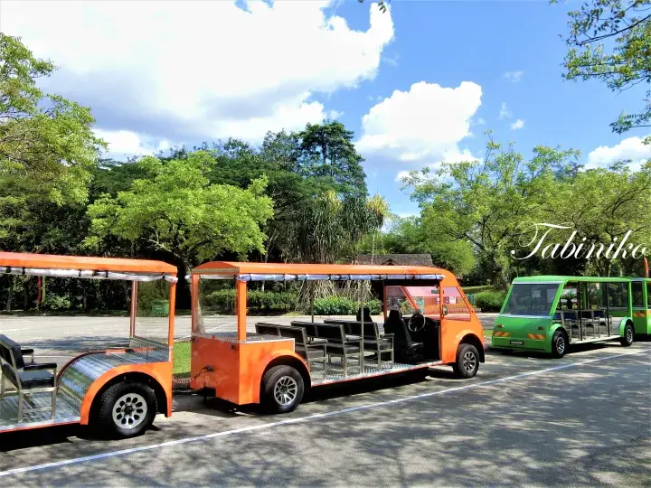 Orange and green open-air electric shuttle buses parked on a paved road surrounded by lush green trees under a blue sky.