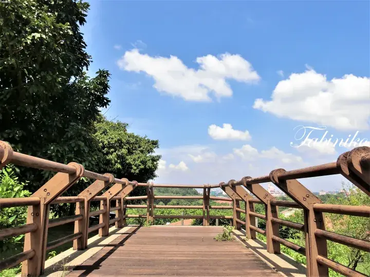 Wooden boardwalk with railings leading through lush greenery under a blue sky with white clouds.