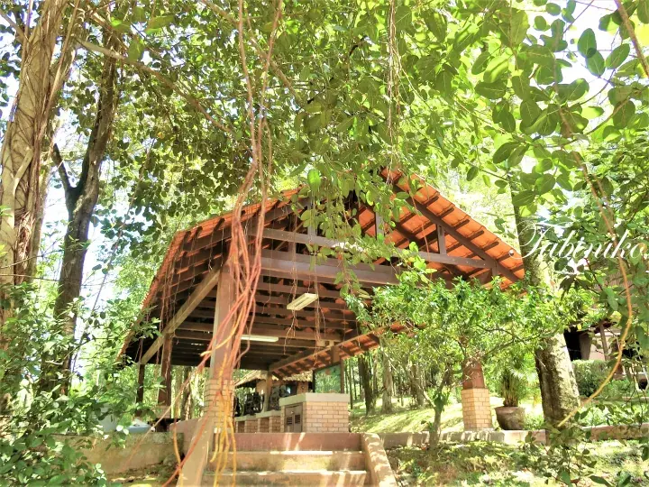Traditional wooden pavilion with tiled roof nestled among lush green trees at a serene property.