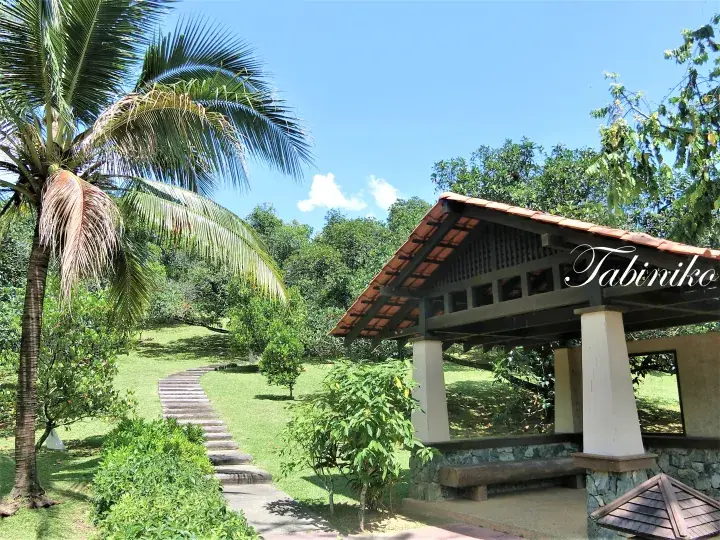 Tropical garden path leading to a shaded pavilion at Tabiniko resort with lush greenery and palm trees.