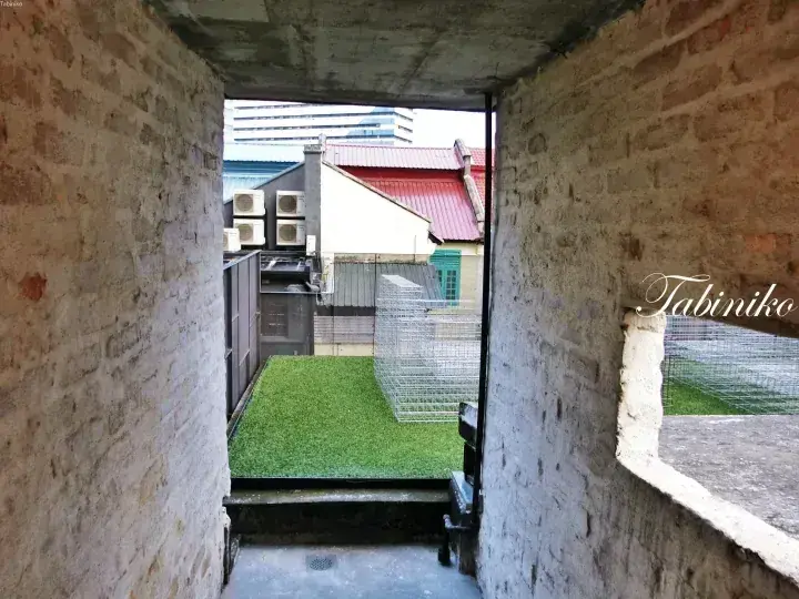 View from a brick corridor looking out onto a rooftop terrace with artificial grass and a metal cage structure.