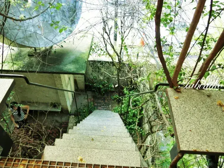 Stone staircase leading down through lush greenery at a property, with a person visible on the left side.