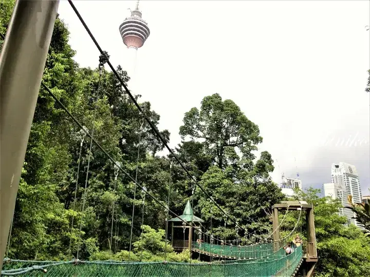 A canopy walkway in the Kuala Lumpur Bird Park with the KL Tower visible in the background.