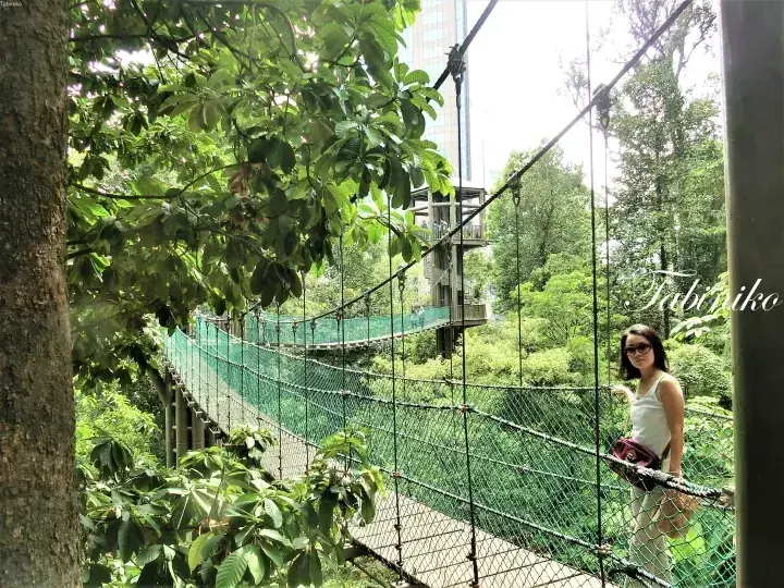 A woman stands on a canopy walkway bridge surrounded by lush green trees in a tropical forest setting.
