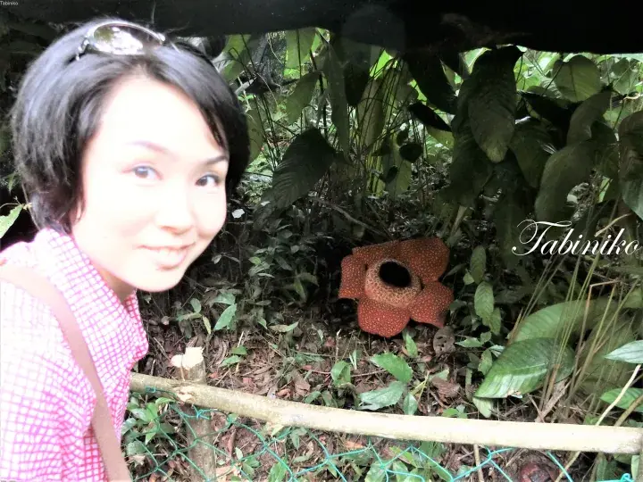 A woman smiles beside a large Rafflesia flower in a lush Malaysian jungle setting.