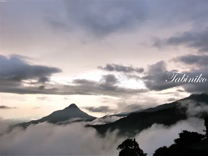 Mount Kinabalu rising above clouds at sunrise with Tabiniko watermark