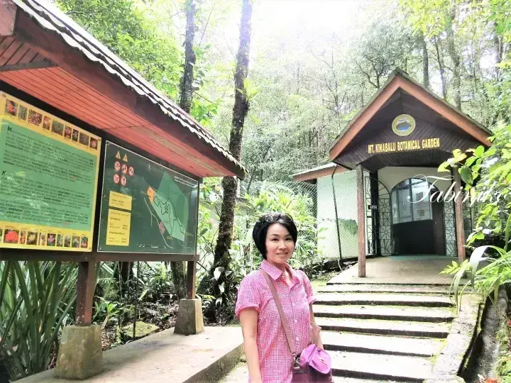 在Mt Kinabalu Botanical Garden入口处，一位女士站在信息板旁微笑，背景是郁郁葱葱的森林。