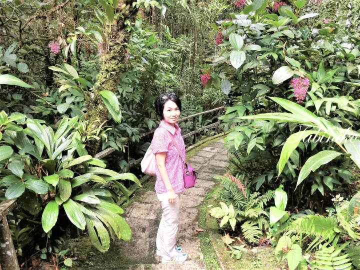 Woman standing on a stone path surrounded by lush tropical foliage and purple flowers in a Malaysian garden.
