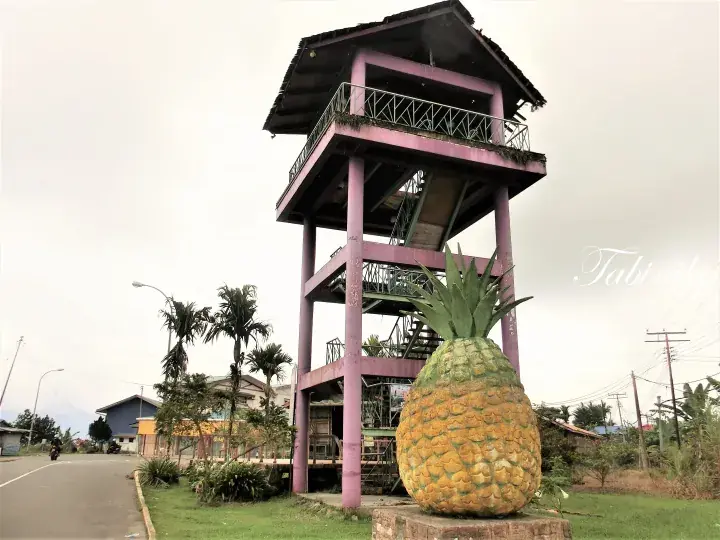 A giant pineapple sculpture stands beside a purple observation tower in a Malaysian roadside setting.