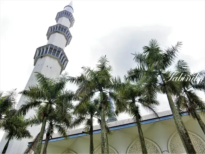 Low-angle view of a tall white minaret with blue accents and palm trees against a cloudy sky.