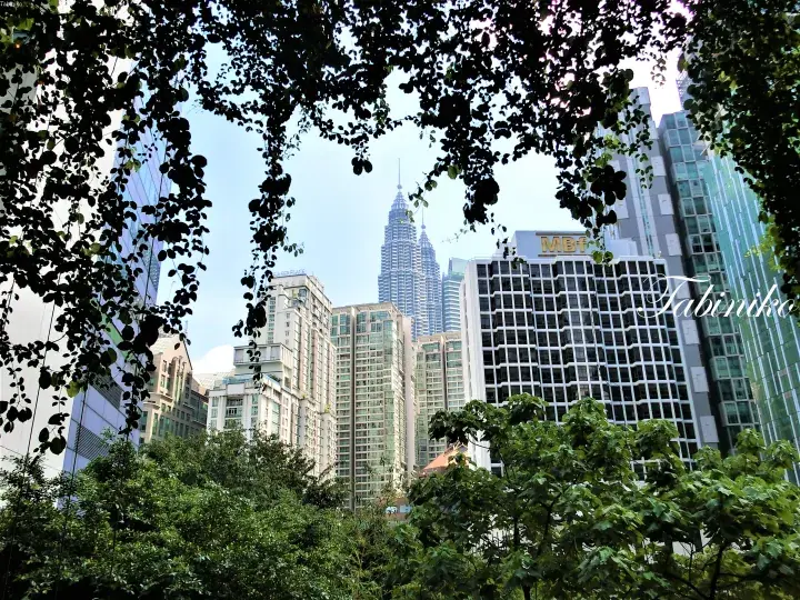 View of Petronas Twin Towers framed by lush green trees in a Kuala Lumpur park.