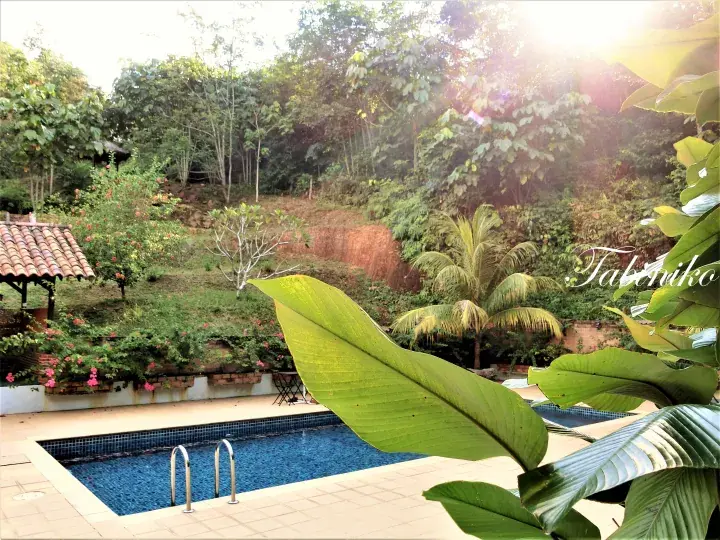 A swimming pool with blue tiles and a metal ladder surrounded by lush tropical greenery and a tiled gazebo.