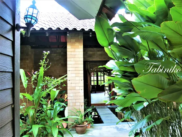 Lush tropical garden entrance to a property with tiled roof, brick pillars, and a blue lantern, featuring a Tabiniko watermark.