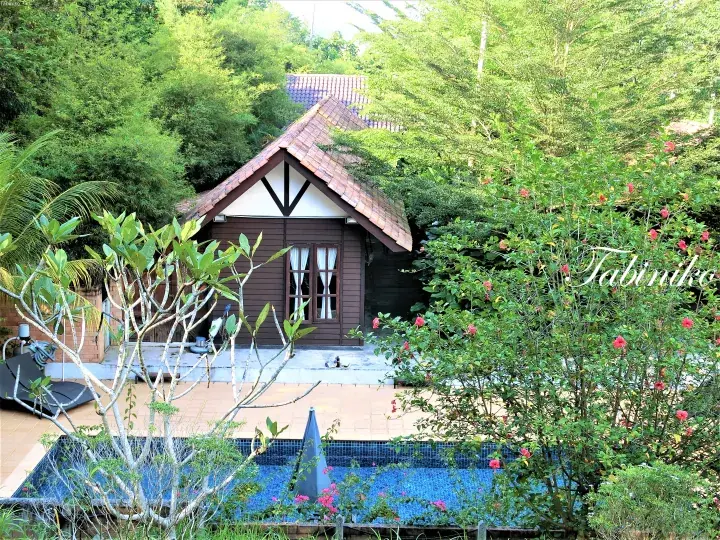 A charming wooden chalet with a tiled roof nestled in lush greenery, featuring a private pool and patio area.