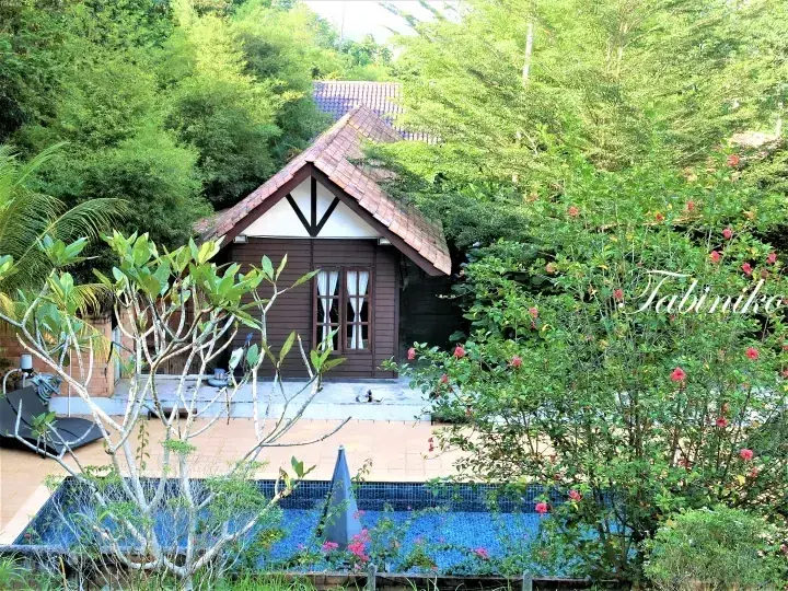 绿树环绕的木制小屋，配有私人泳池和露台。