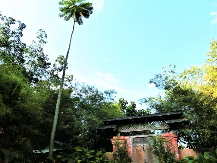 Traditional wooden gate with red brick pillars and tiled roof, surrounded by lush greenery and a tall palm tree.