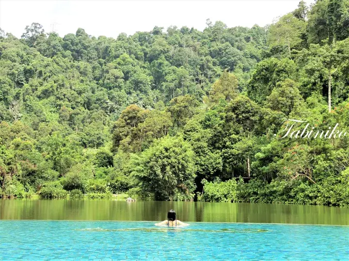 タビニクのエントランシープールの青い水に浸かり、手前には緑豊かな熱帯雨林が広がる風景。