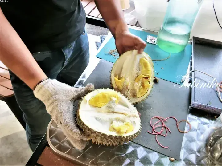 Person wearing gloves opening a fresh durian fruit on a table with rubber bands and a water bottle nearby.