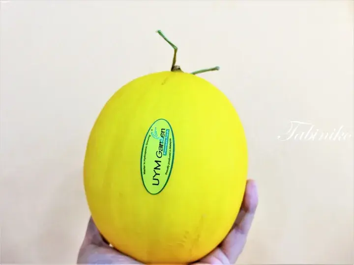 手に持たれた黄色いUYM Gardenのハイドロポニックメロン。マレーシア産のプレミアムフレッシュと書かれた緑のシールが特徴。