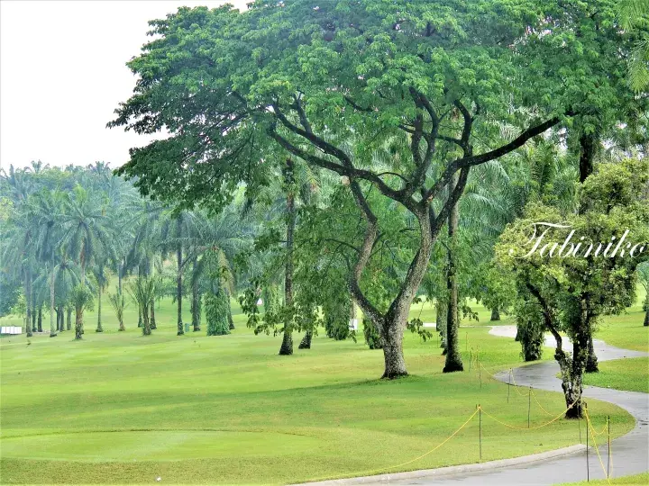 Lush green golf course with tall trees and winding path, showcasing premium property landscaping in Malaysia.