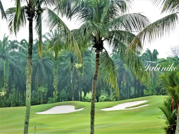 Lush tropical golf course with palm trees and sand bunkers at Tabiniko resort in Malaysia.