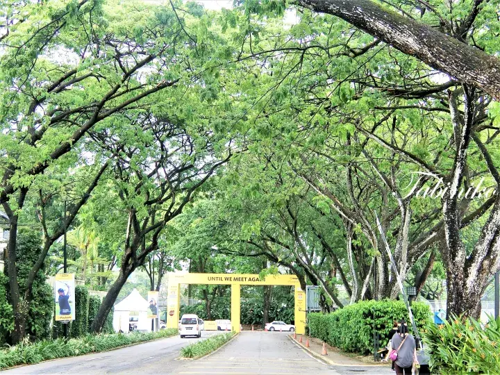 A yellow archway reading UNTIL WE MEET AGAIN marks the entrance to a lush, tree-lined road.