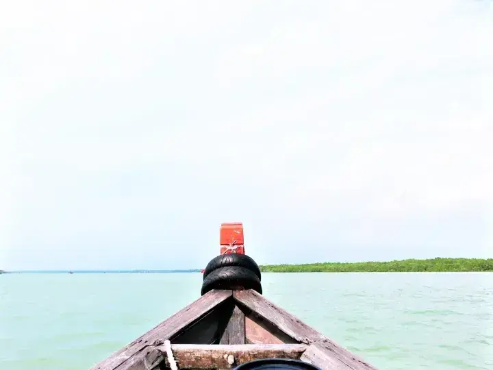View from a wooden boat on calm waters heading towards a lush green mangrove forest.
