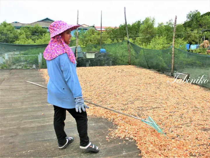 マレーシアの海岸沿いの物件で、ピンクの花柄帽子を被った女性が木製デッキで乾燥エビを網でかき混ぜている。