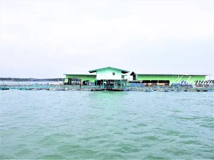 Green floating restaurant complex on calm waters with walkways and blue barrels.