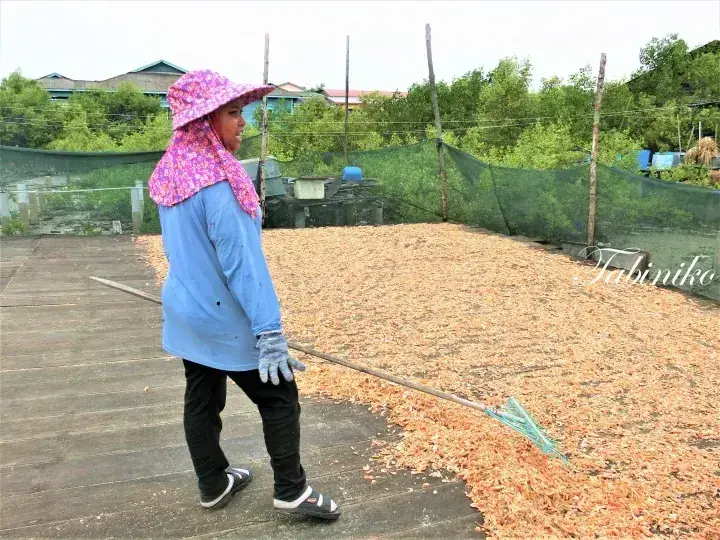A woman in a pink floral hat rakes dried shrimp on a wooden deck at a coastal property in Malaysia.