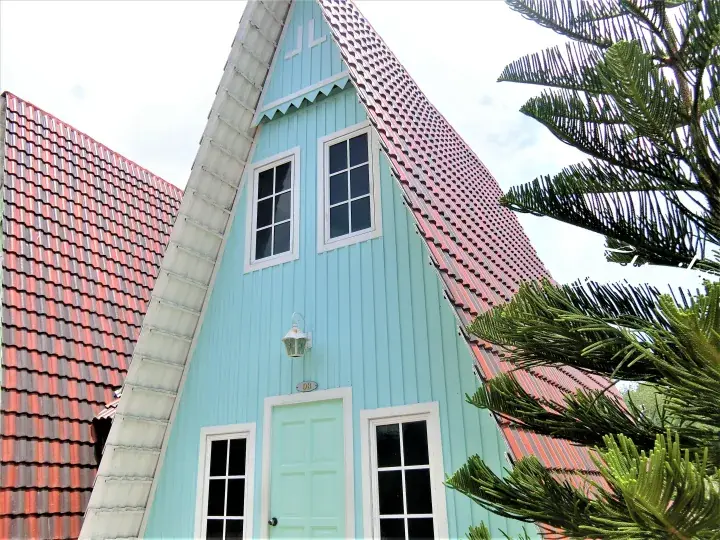 A light blue A-frame house with a red tiled roof and white trim, partially framed by a Norfolk Island pine tree.