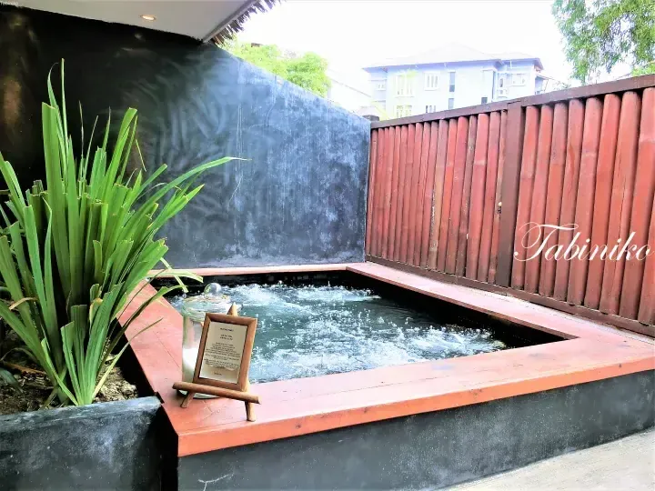 Private plunge pool with bubbling water, wooden deck, and green plants at a resort.
