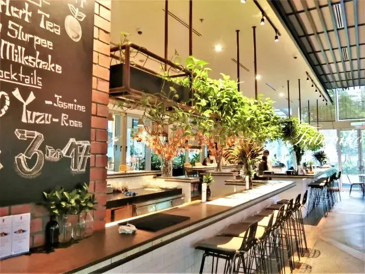 Interior of a modern cafe with a chalkboard menu, hanging greenery, and a long wooden counter with bar stools.