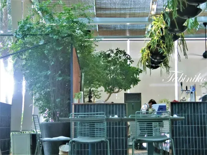Modern cafe interior with lush greenery, hanging plants, and a staff member working behind a tiled counter.