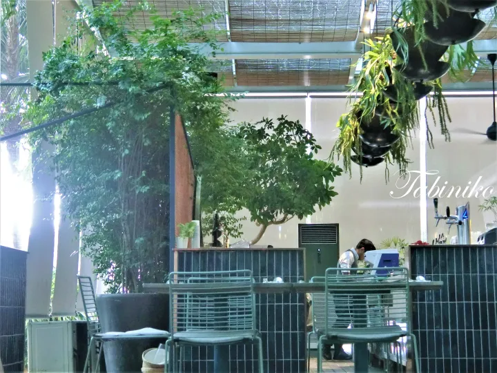 植物に囲まれたモダンなカフェの店内。タイル張りのカウンターで働くスタッフの姿。