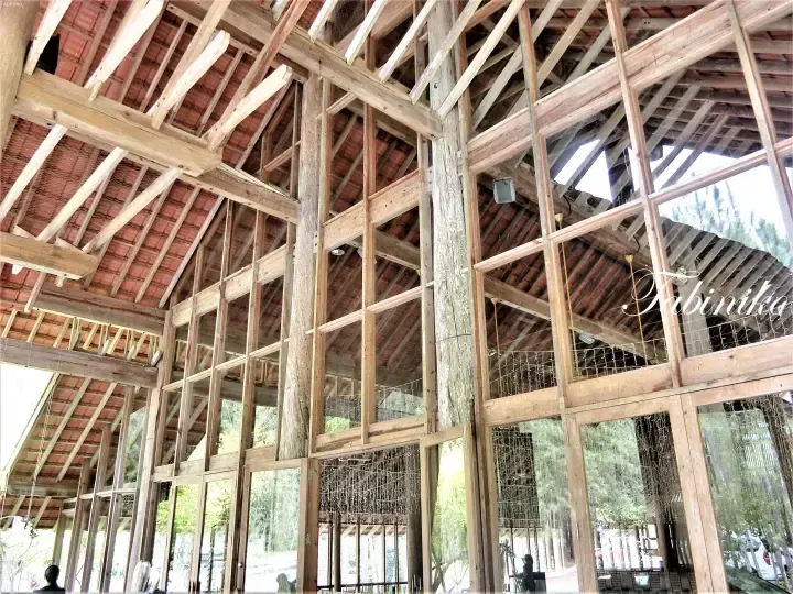 Interior view of a wooden structure with exposed beams and large windows overlooking a forest.