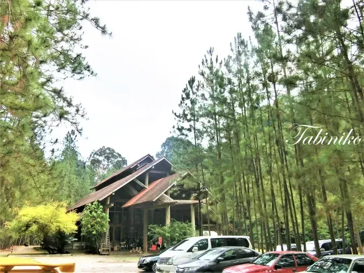 A large wooden building with a red-tiled roof surrounded by tall pine trees and parked cars.