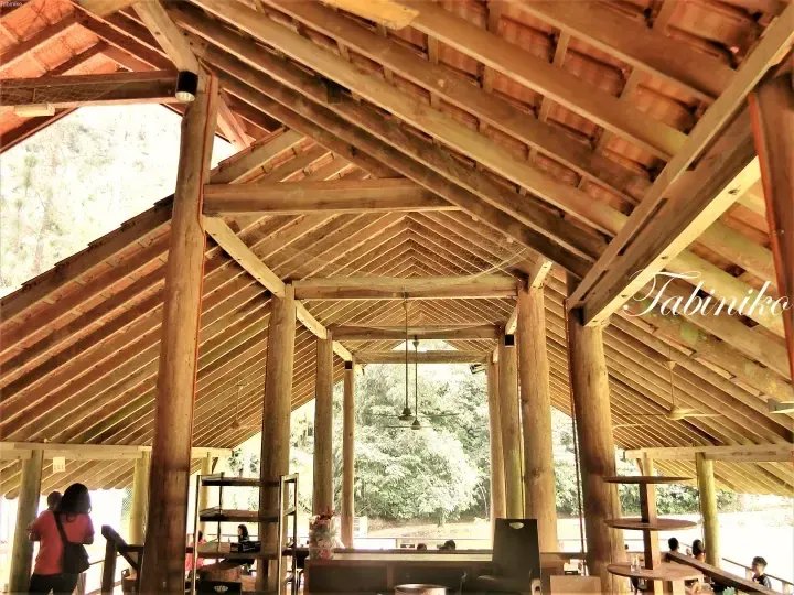 Interior view of a wooden structure with high ceilings and large windows overlooking lush greenery.
