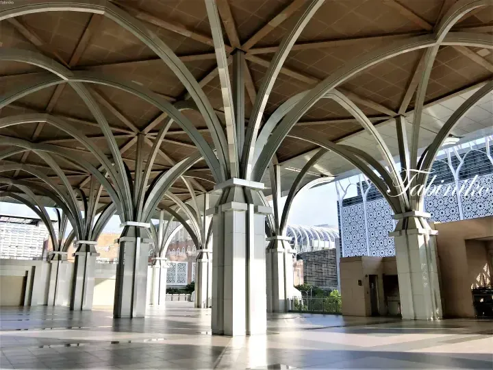 Modern architectural details of Suria KLCC featuring distinctive palm-inspired columns and vaulted ceilings.