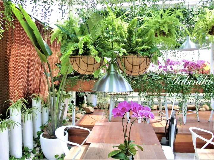 木製テーブルと吊り下げられた植物に囲まれ、緑のシダと紫色の蘭が飾られた居心地の良いカフェのインテリア。
