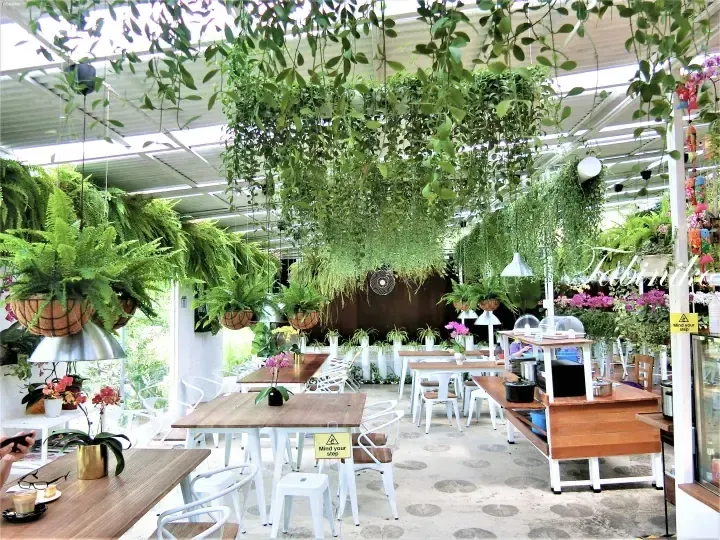 Florescence Cafe (フローレセンス カフェ) at World Of Phalaenopsis [Malaysia Property]