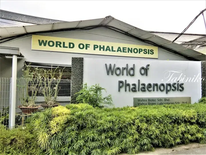 The entrance sign for World of Phalaenopsis, a facility of Waltex Biotec Sdn. Bhd. surrounded by greenery.