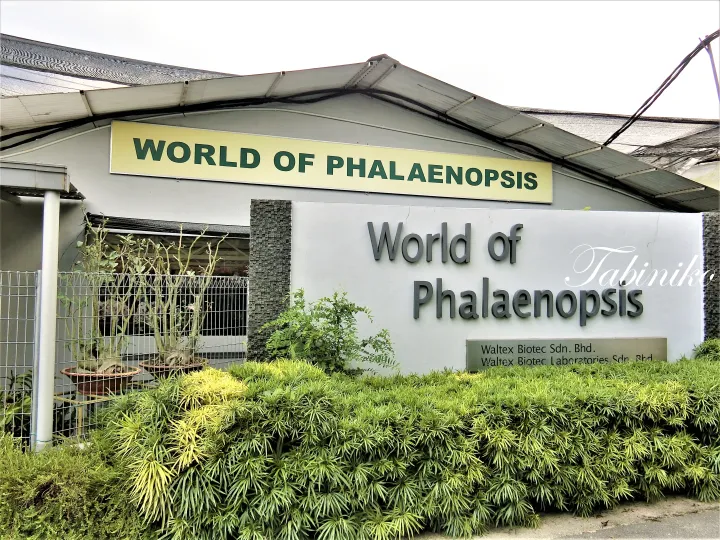 緑に囲まれたWaltex Biotec Sdn. Bhd.の施設「World of Phalaenopsis」の入口看板。