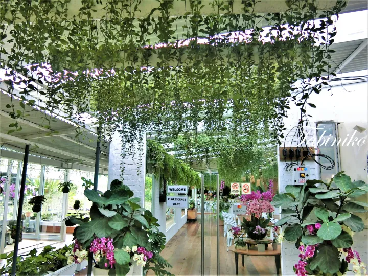 吊り下げられた緑とポット植えの蘭が飾られた「Florescence Cafe」の入り口。