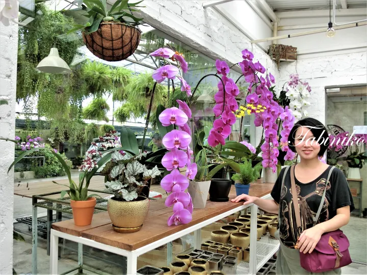 明るい温室の園芸店で、紫色の蘭や観葉植物が並ぶテーブルの隣に立つ女性。