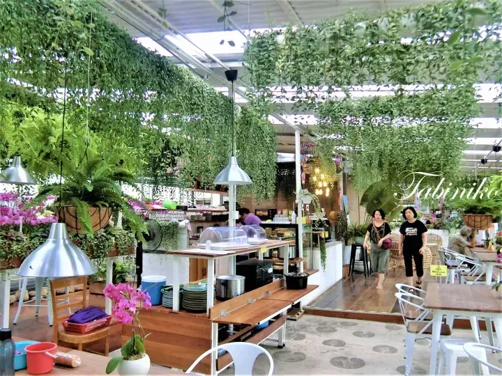 Lush greenery-filled cafe interior with hanging plants, wooden tables, and visitors walking through a bright, nature-inspired space.