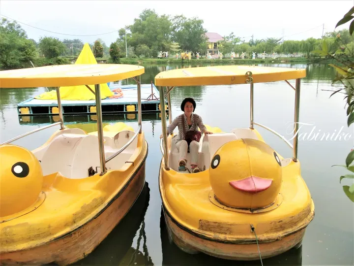 A woman sits in a yellow duck pedal boat at Trong Leisure Farm & Resort.