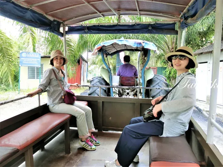 Two women wearing sun hats sit in an open-air farm vehicle at Chong Lee Poultry Farm, surrounded by lush greenery.