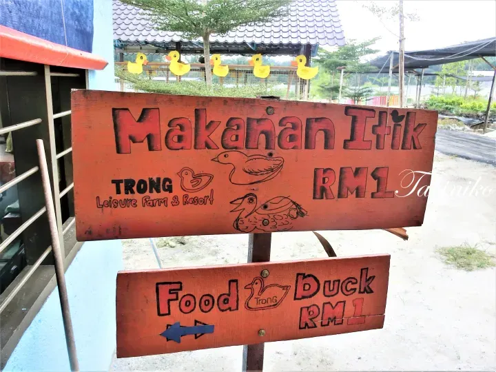 Wooden signs advertising duck food at Trong Leisure Farm & Resort for RM1 each.