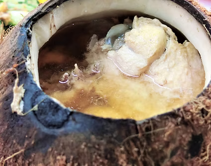 Malaysia Local Food Blog